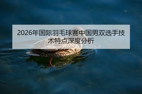 2026年国际羽毛球赛中国男双选手技术特点深度分析