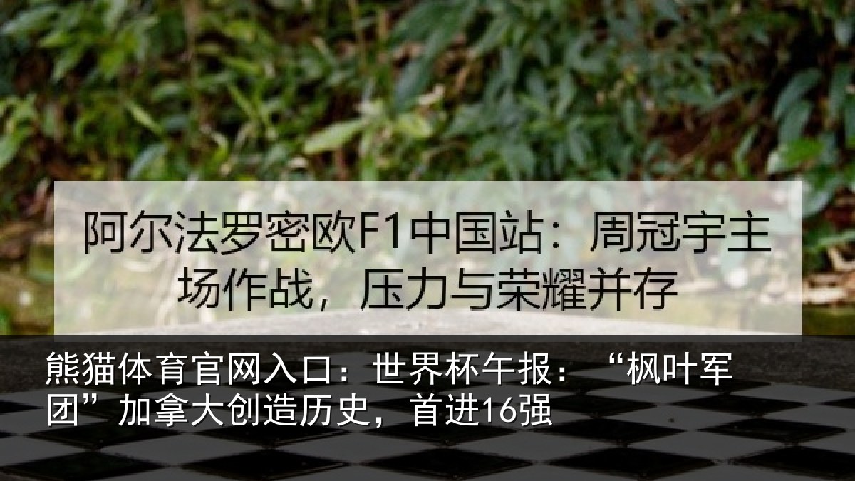 熊猫体育官网入口:世界相关情况拿大创造历史,首进16强